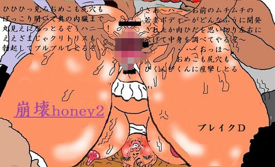 崩壊honey2_0