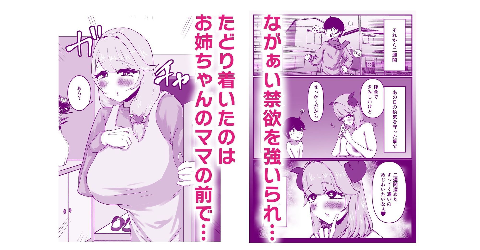 仲良しのお姉ちゃんのママは僕のことをよく知る超あまあまサキュバスでした。_2